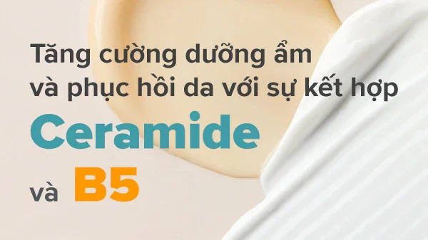 Cách lựa chọn hoạt chất phục hồi da (B5, Ceramide)