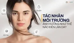 Lá chắn môi trường